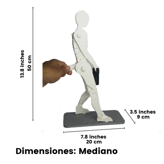 Levantamiento de Carga 35 cm