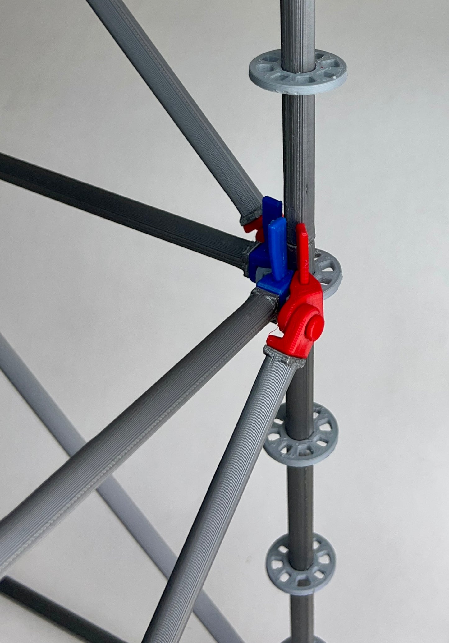 Intermediate Multidirectional Scaffold Model