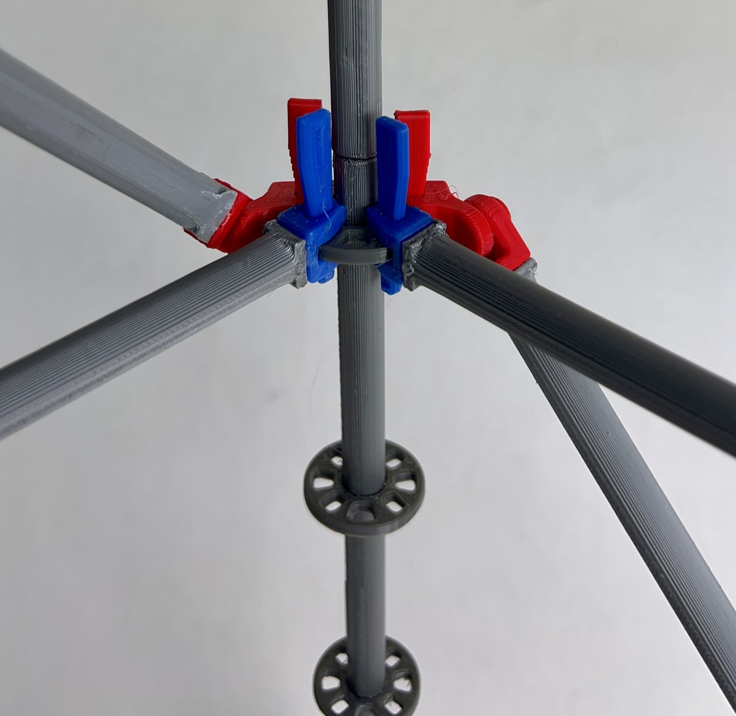 Intermediate Multidirectional Scaffold Model