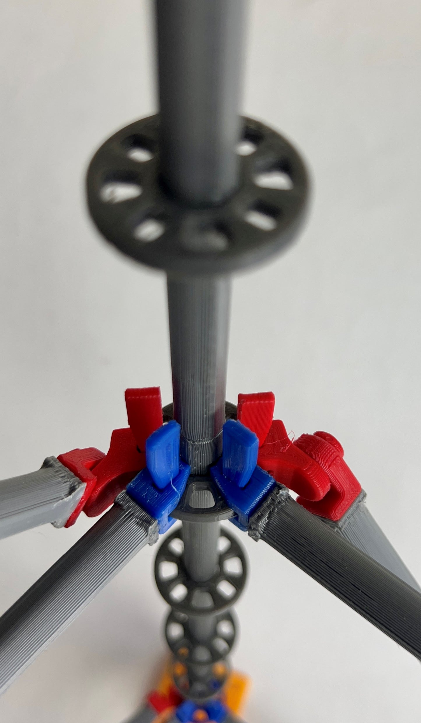 Intermediate Multidirectional Scaffold Model