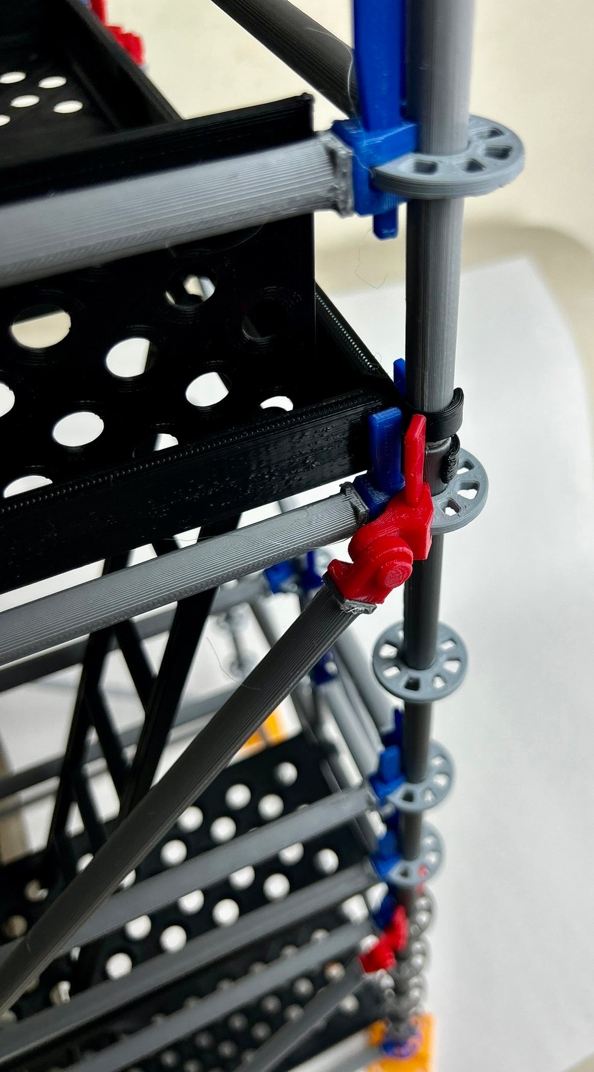 Intermediate Multidirectional Scaffold Model