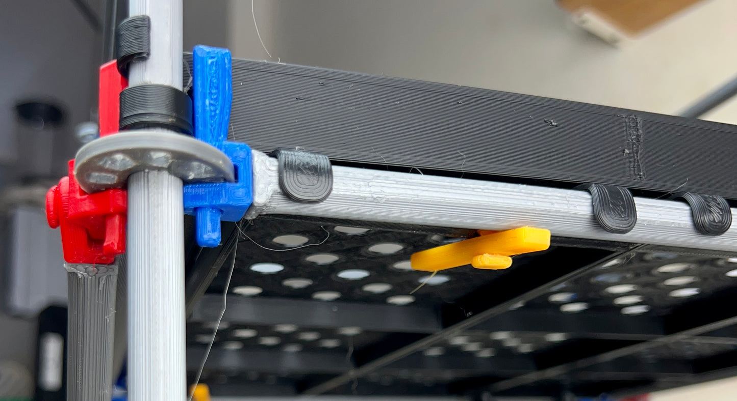 Intermediate Multidirectional Scaffold Model