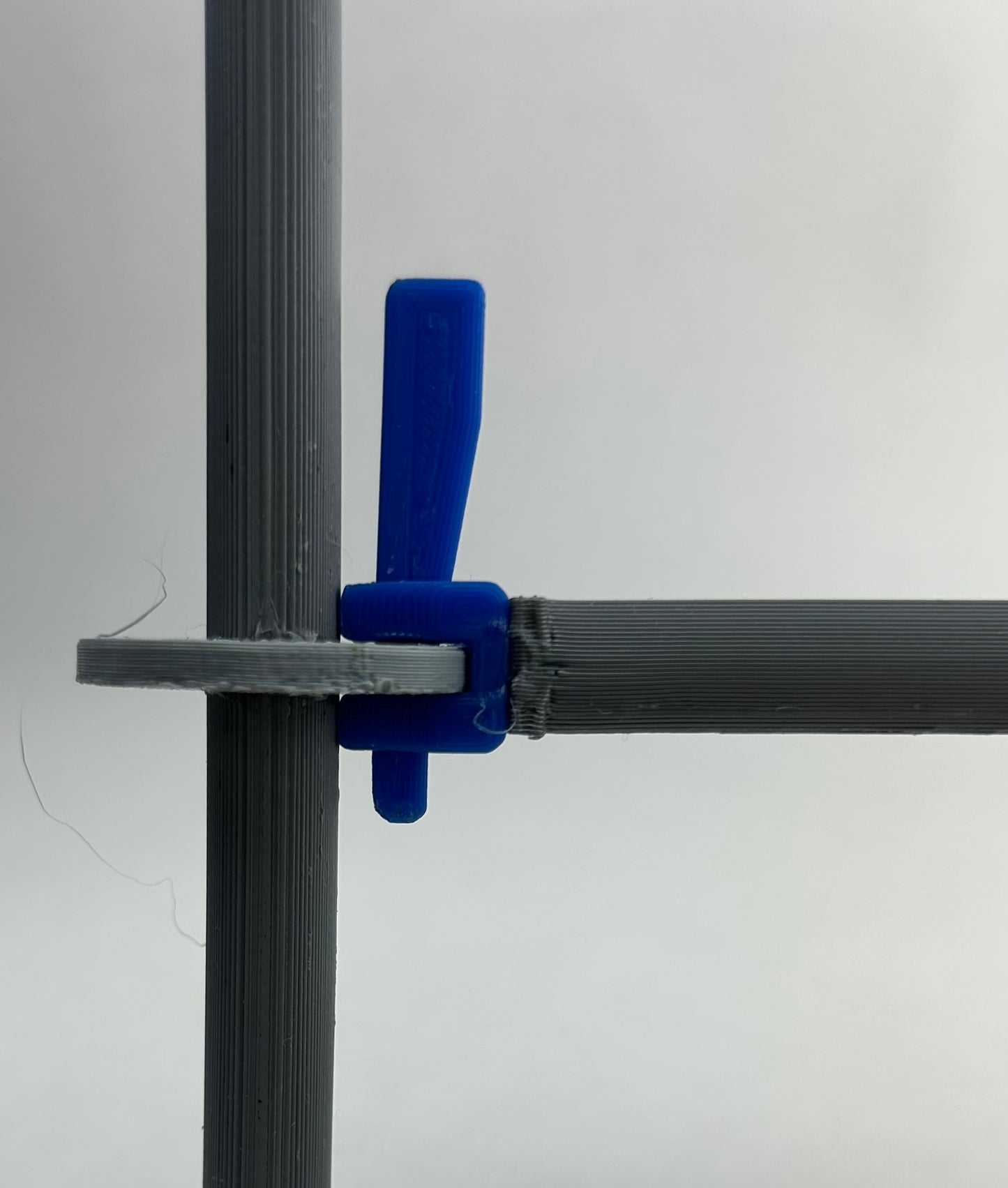 Intermediate Multidirectional Scaffold Model