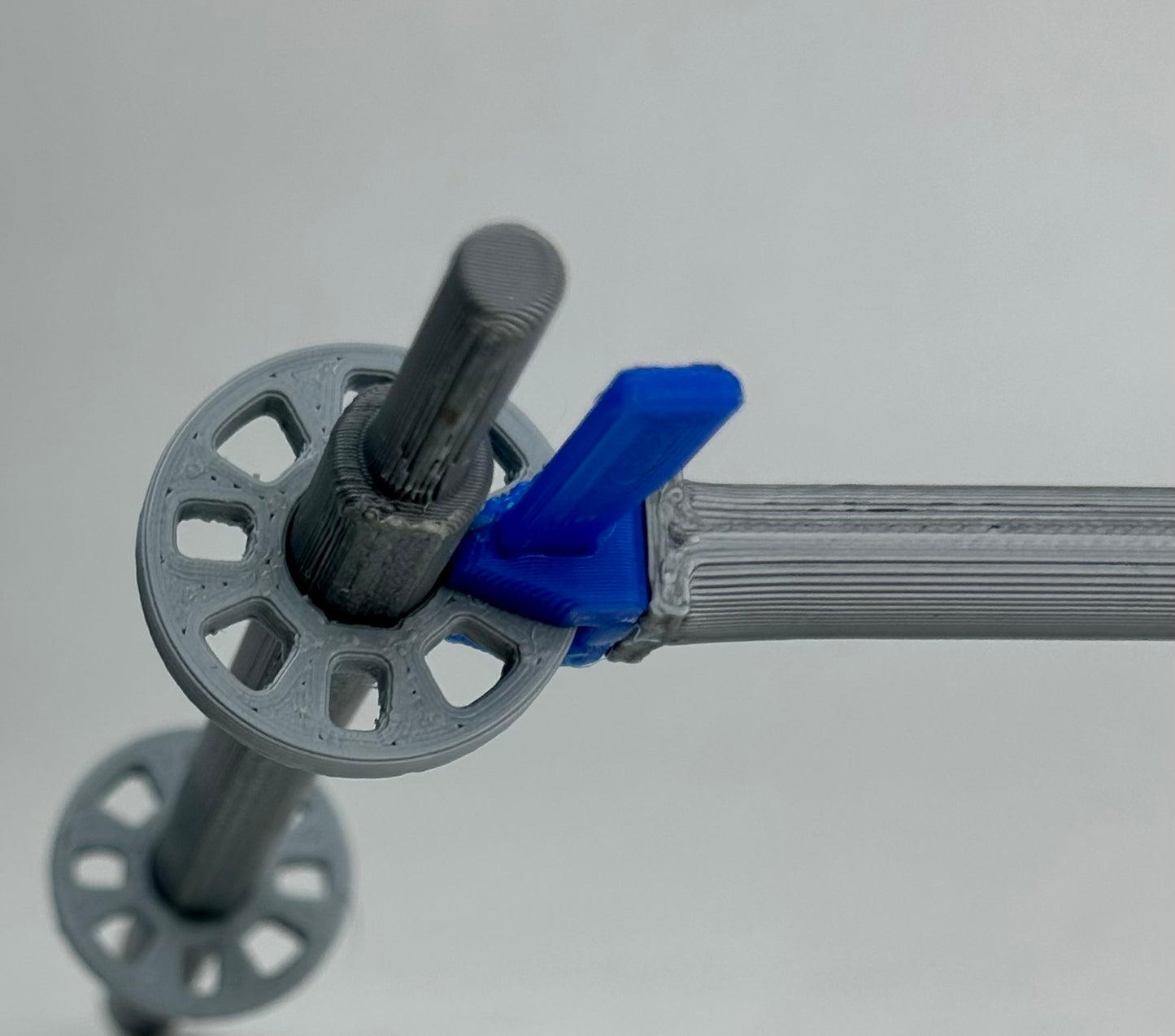 Intermediate Multidirectional Scaffold Model