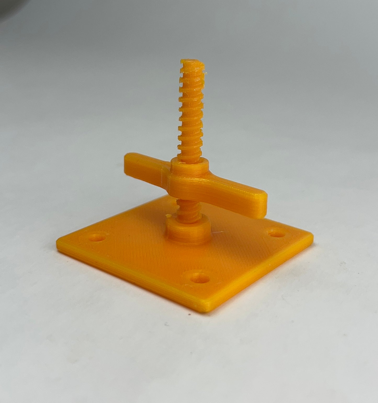 Intermediate Multidirectional Scaffold Model