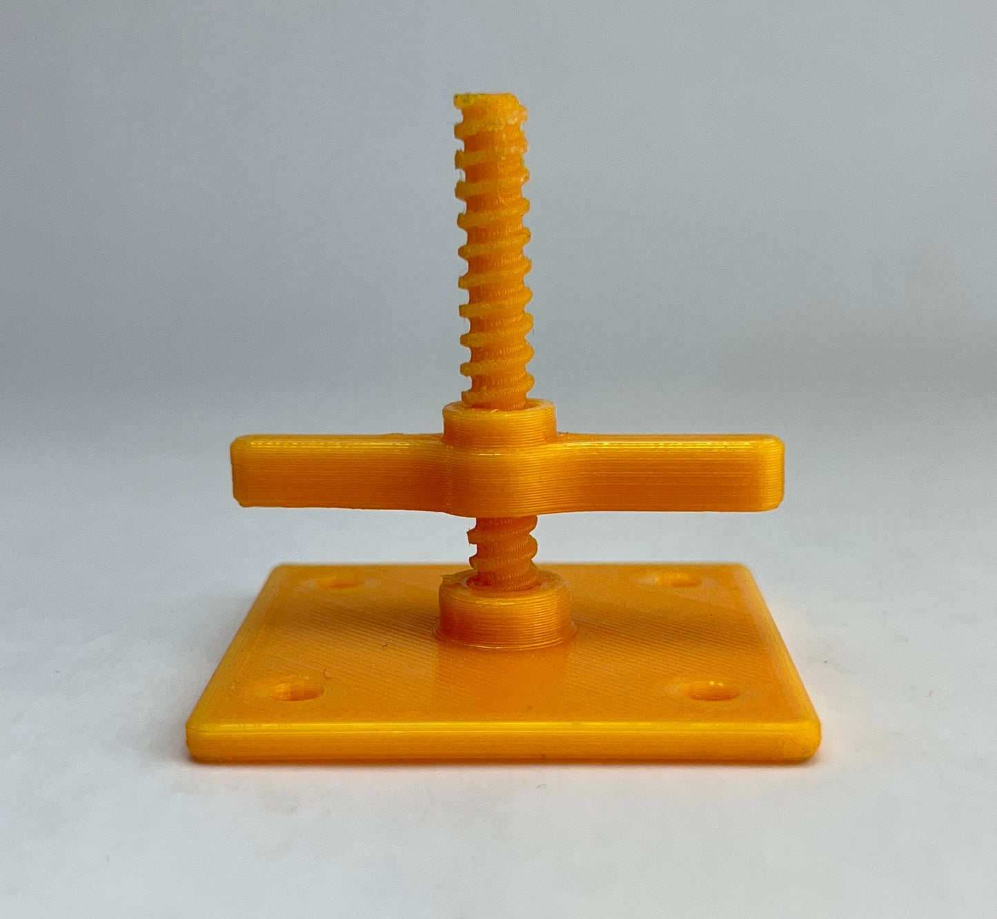 Intermediate Multidirectional Scaffold Model