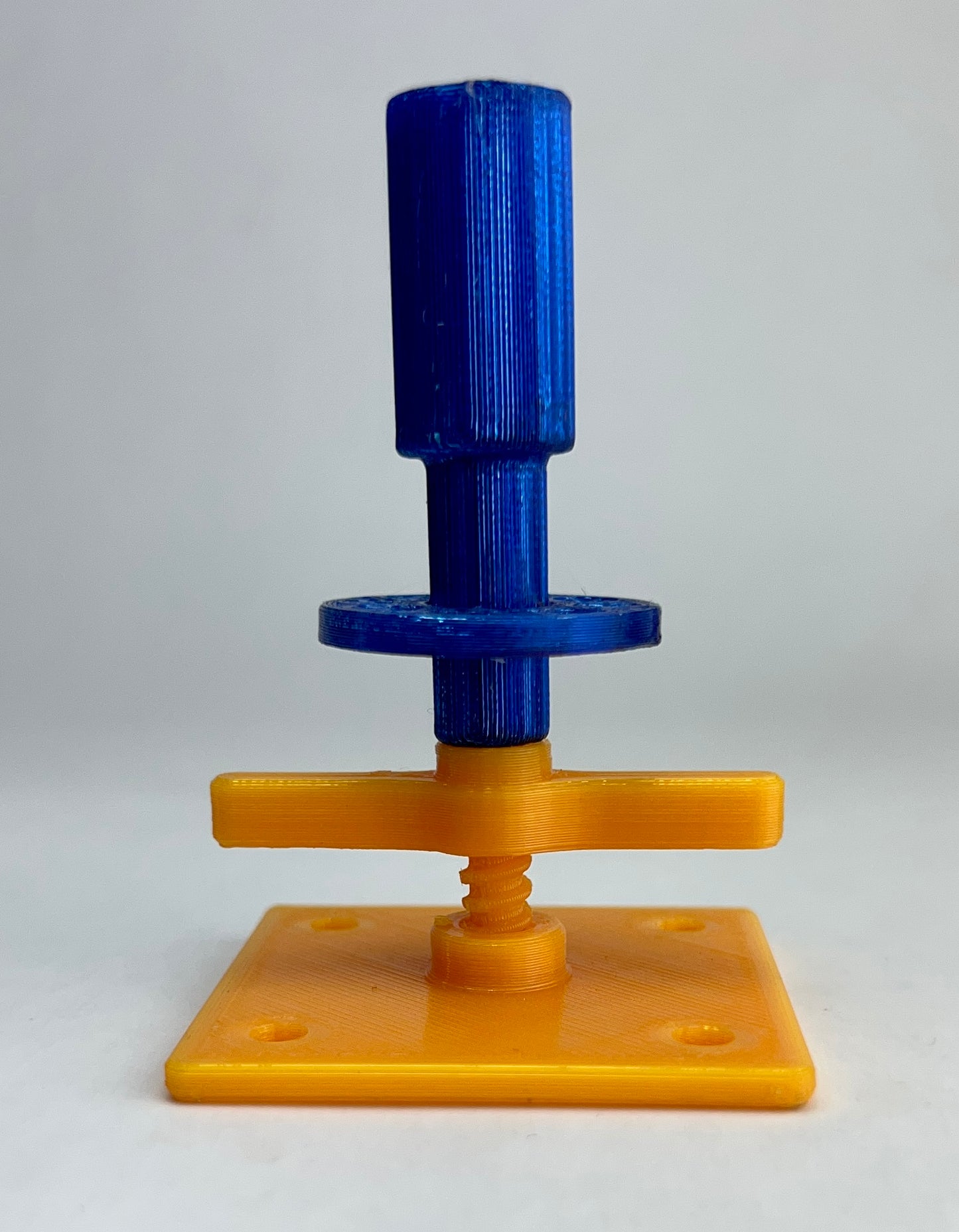 Intermediate Multidirectional Scaffold Model