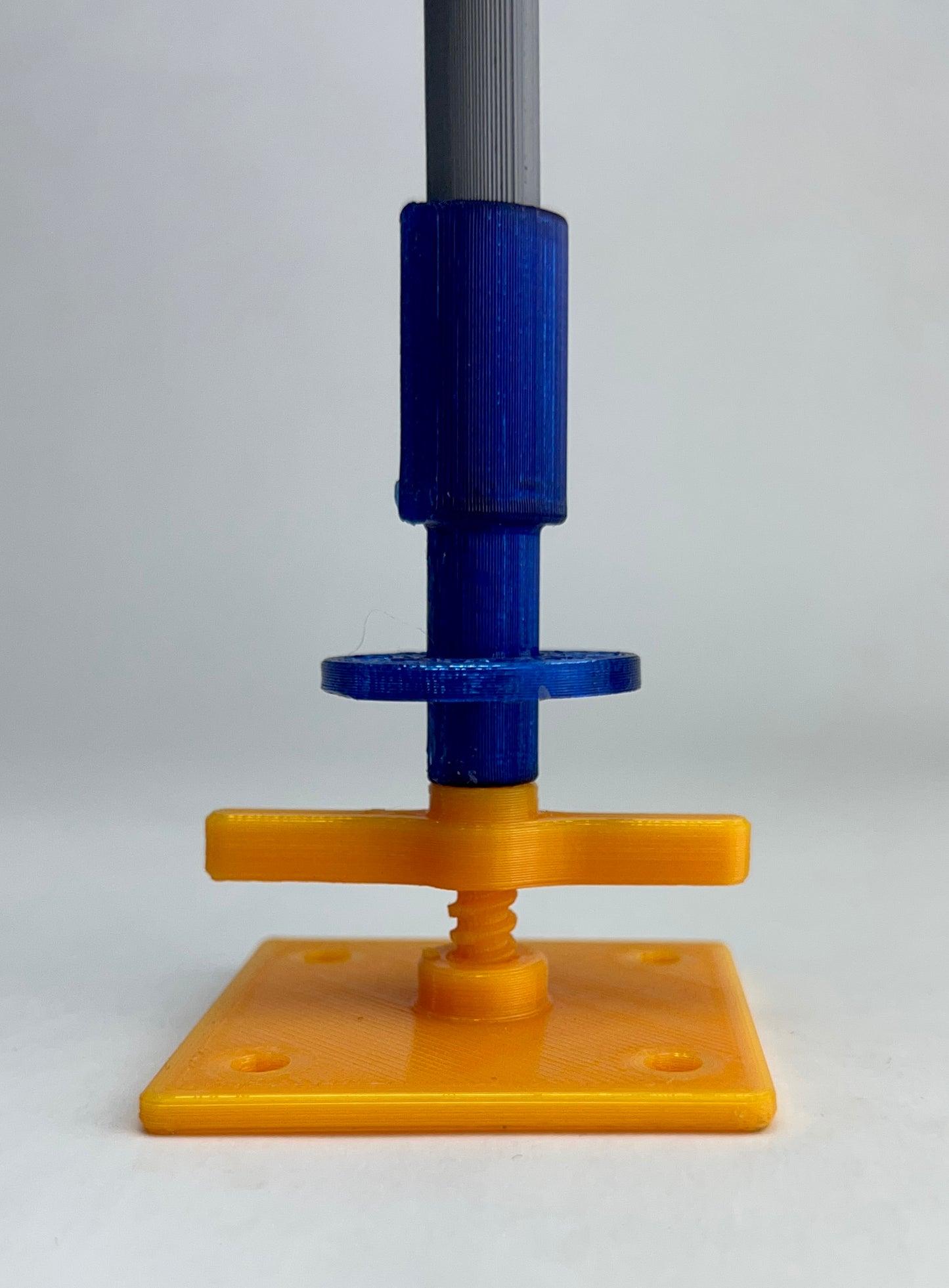Intermediate Multidirectional Scaffold Model