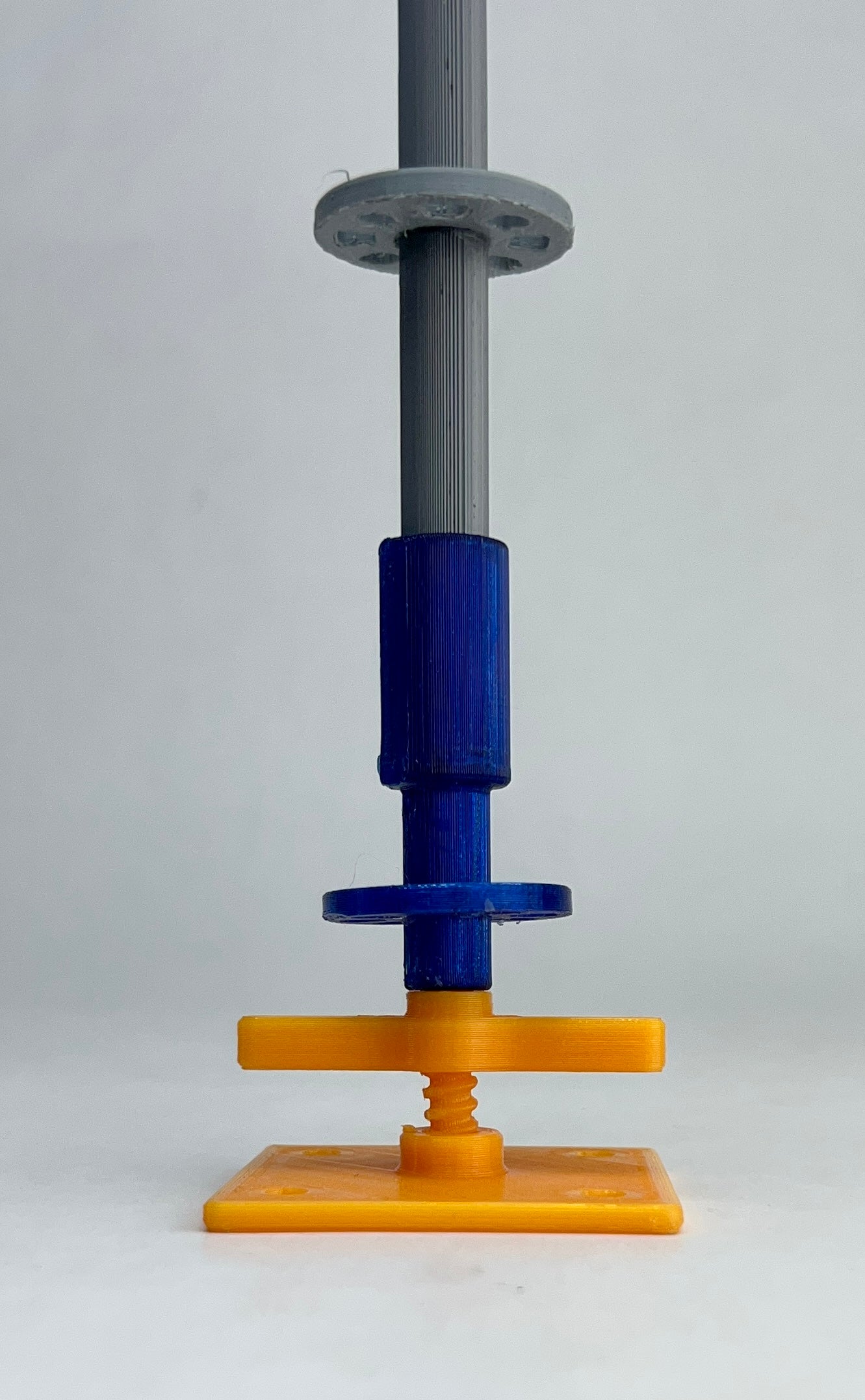 Intermediate Multidirectional Scaffold Model
