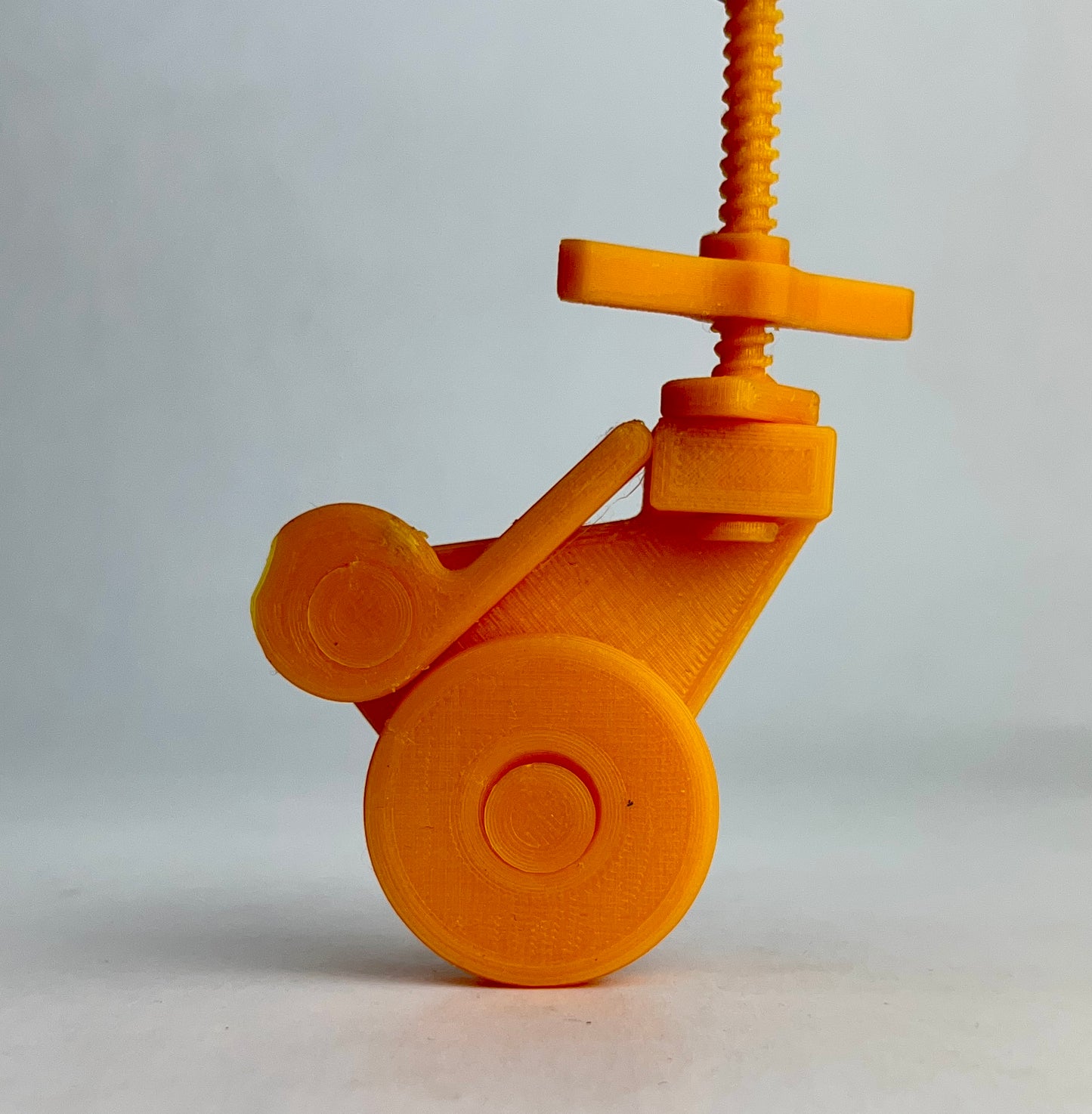 Intermediate Multidirectional Scaffold Model