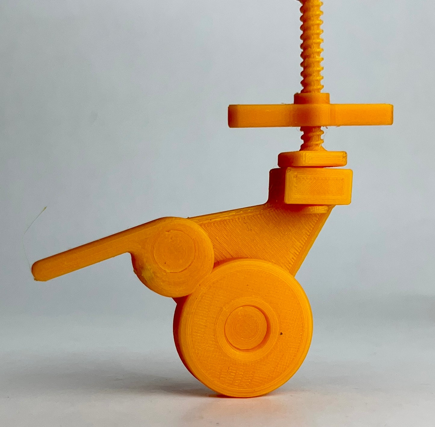 Intermediate Multidirectional Scaffold Model