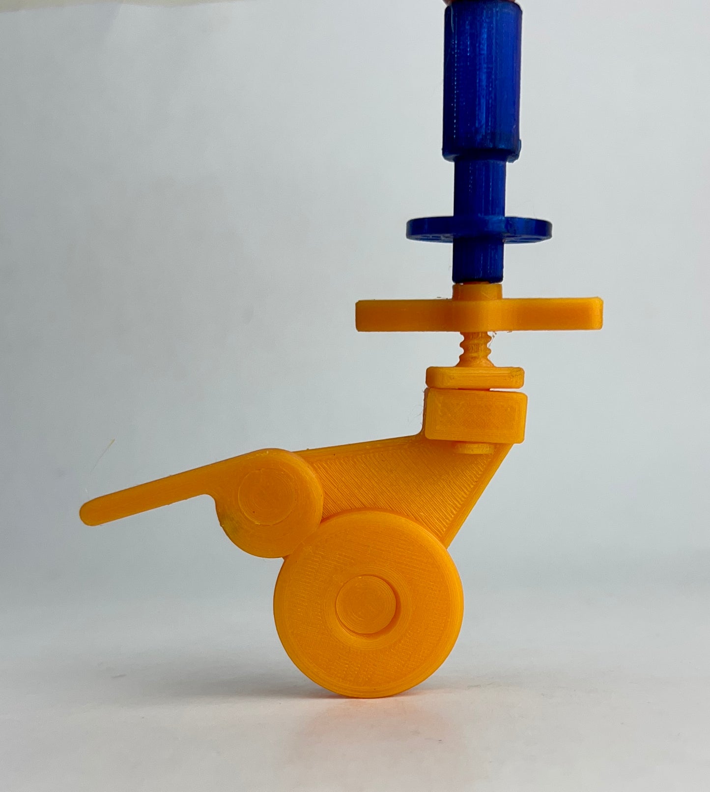 Intermediate Multidirectional Scaffold Model