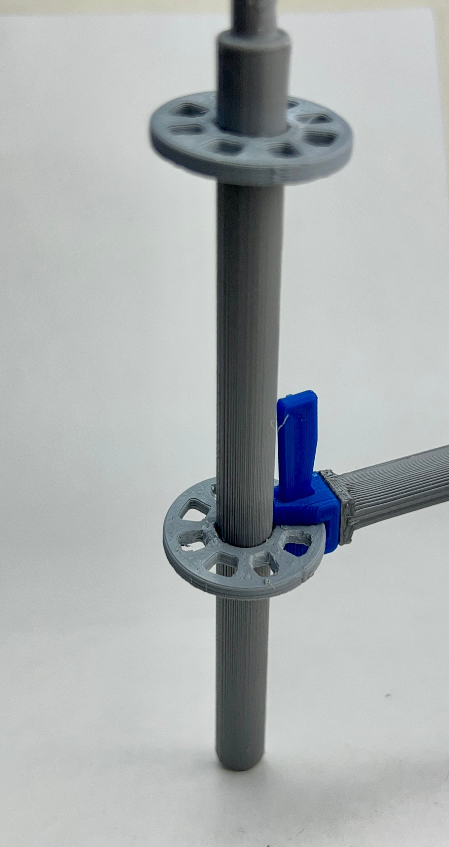 Intermediate Multidirectional Scaffold Model