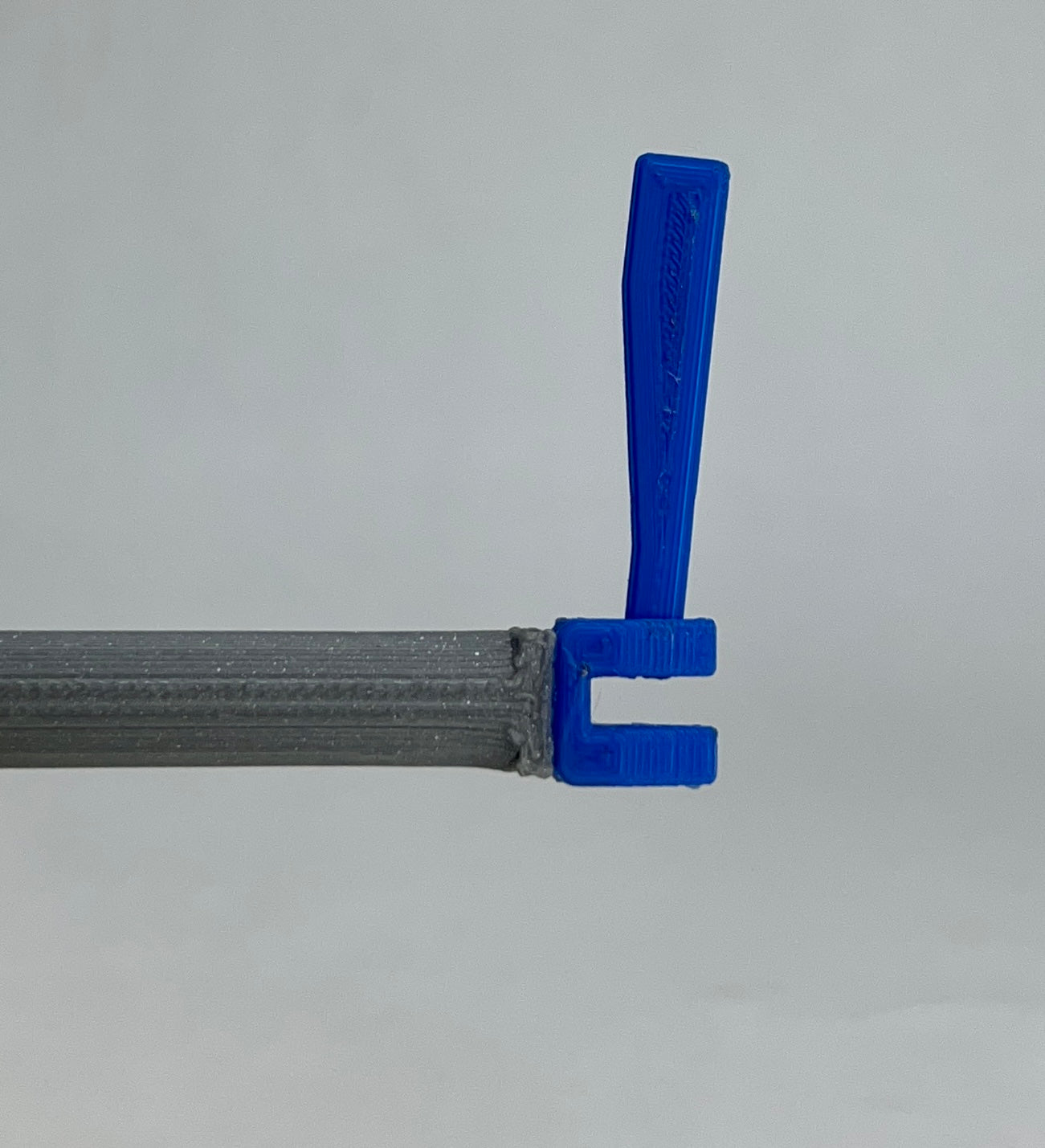 Intermediate Multidirectional Scaffold Model