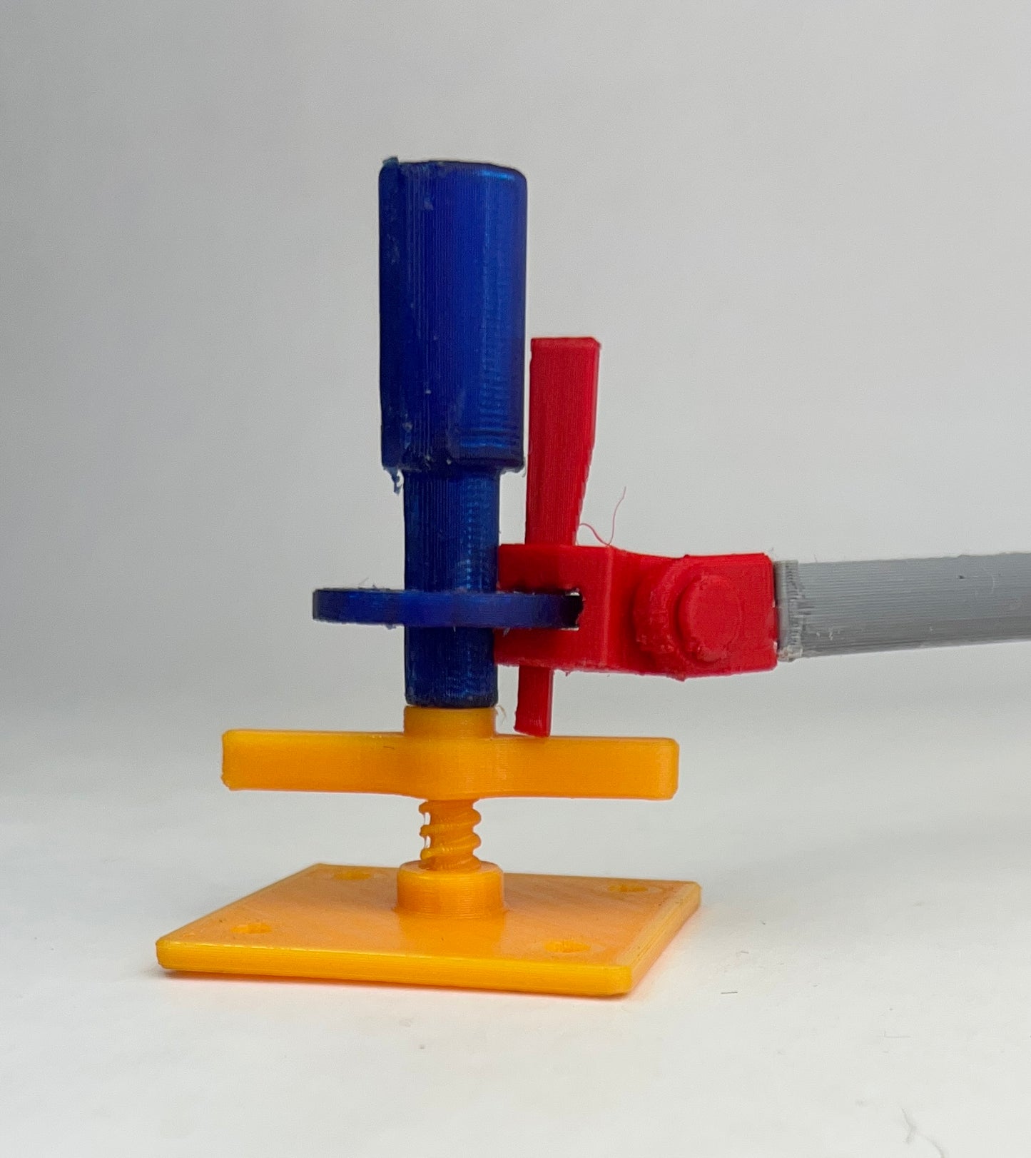 Intermediate Multidirectional Scaffold Model