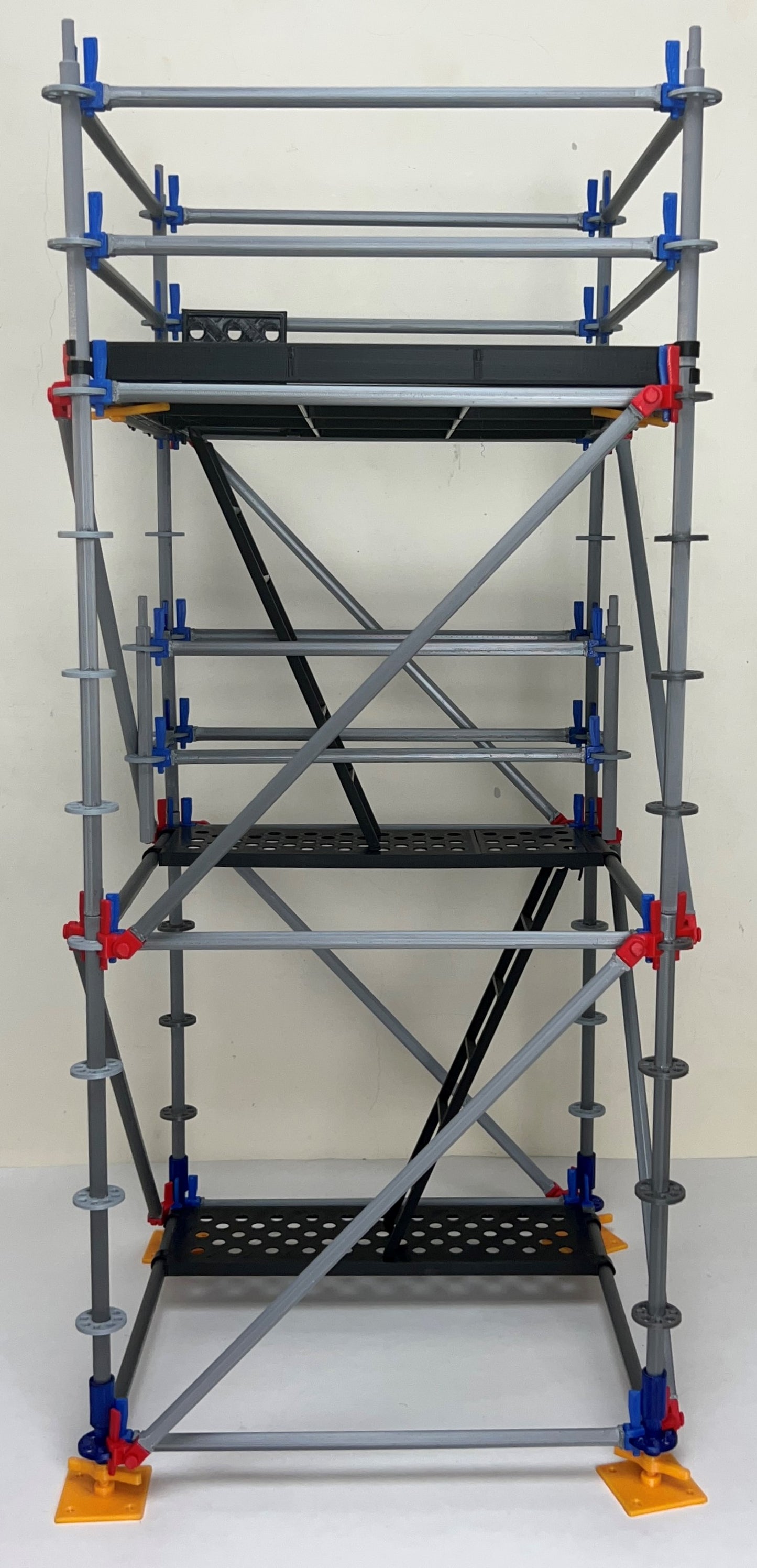 Intermediate Multidirectional Scaffold Model