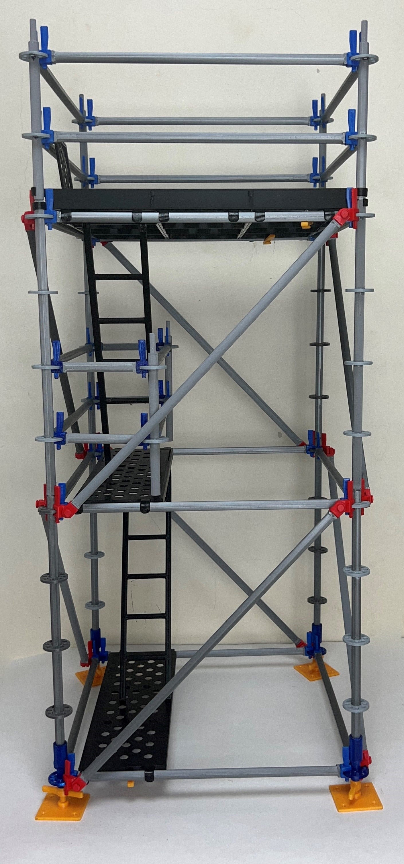 Intermediate Multidirectional Scaffold Model