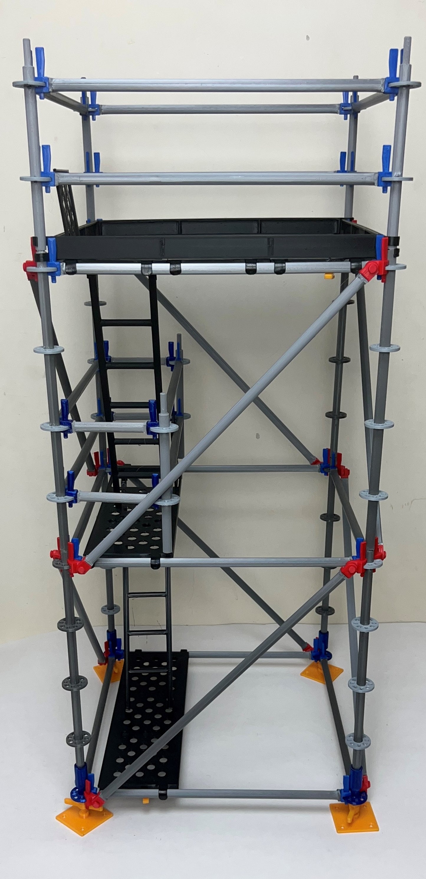 Intermediate Multidirectional Scaffold Model