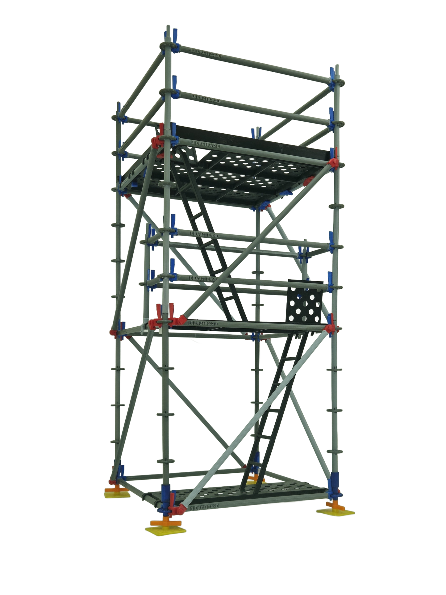 Intermediate Multidirectional Scaffold Model