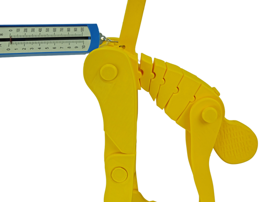 Kit Dinamómetro + Modelo de Levantamiento Manual de Carga 50 cm