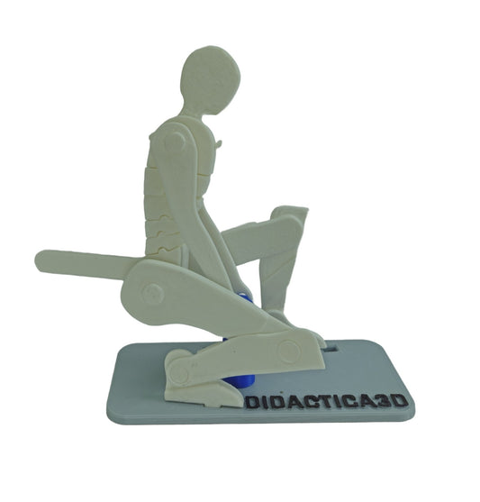 Levantamiento de Carga 20 cm