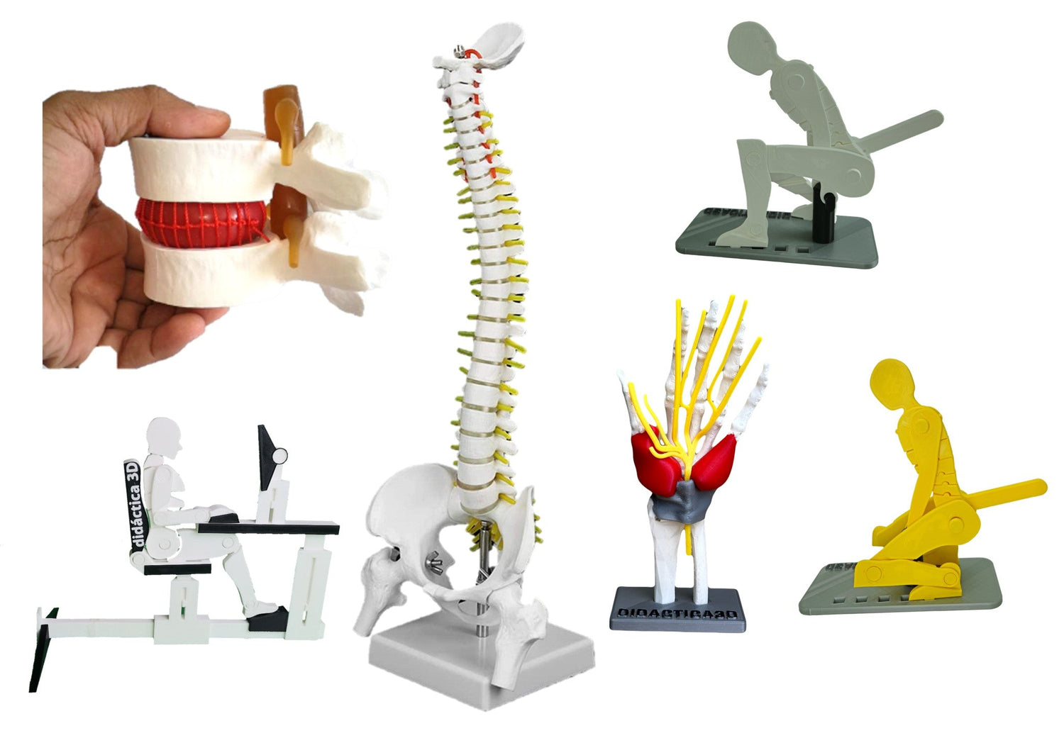 🧍‍♂️ Ergonomía Didáctica