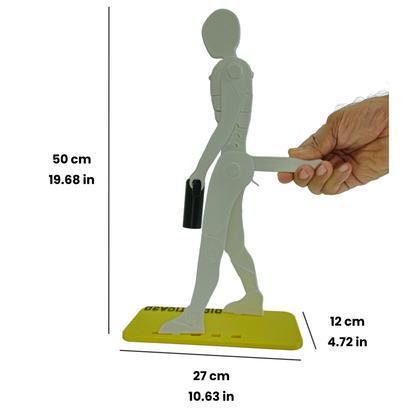 Levantamiento de Carga 50 cm