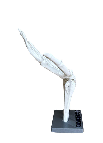 Modelo Tunel Carpiano 20 cm