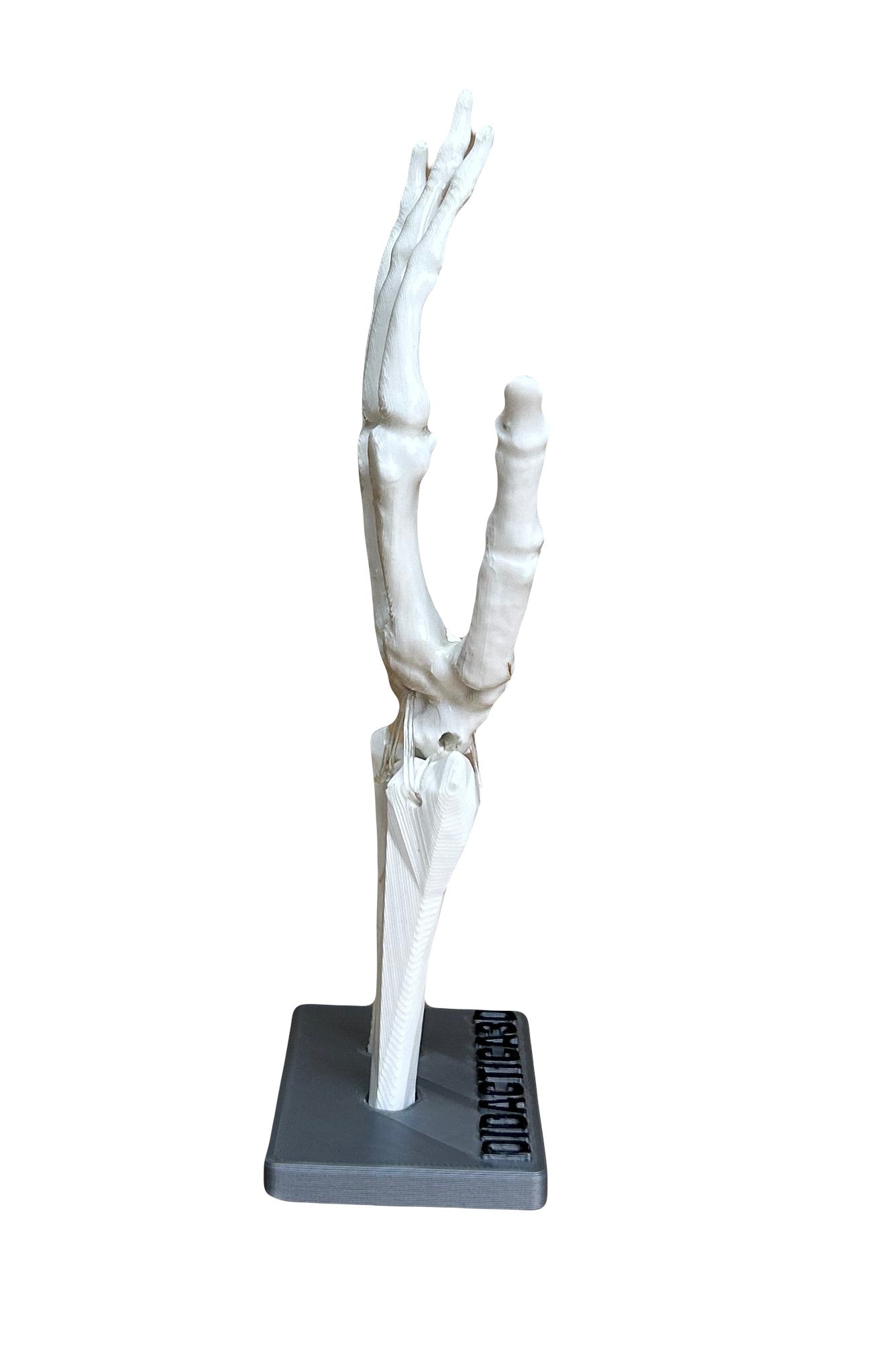 Modelo Tunel Carpiano 20 cm