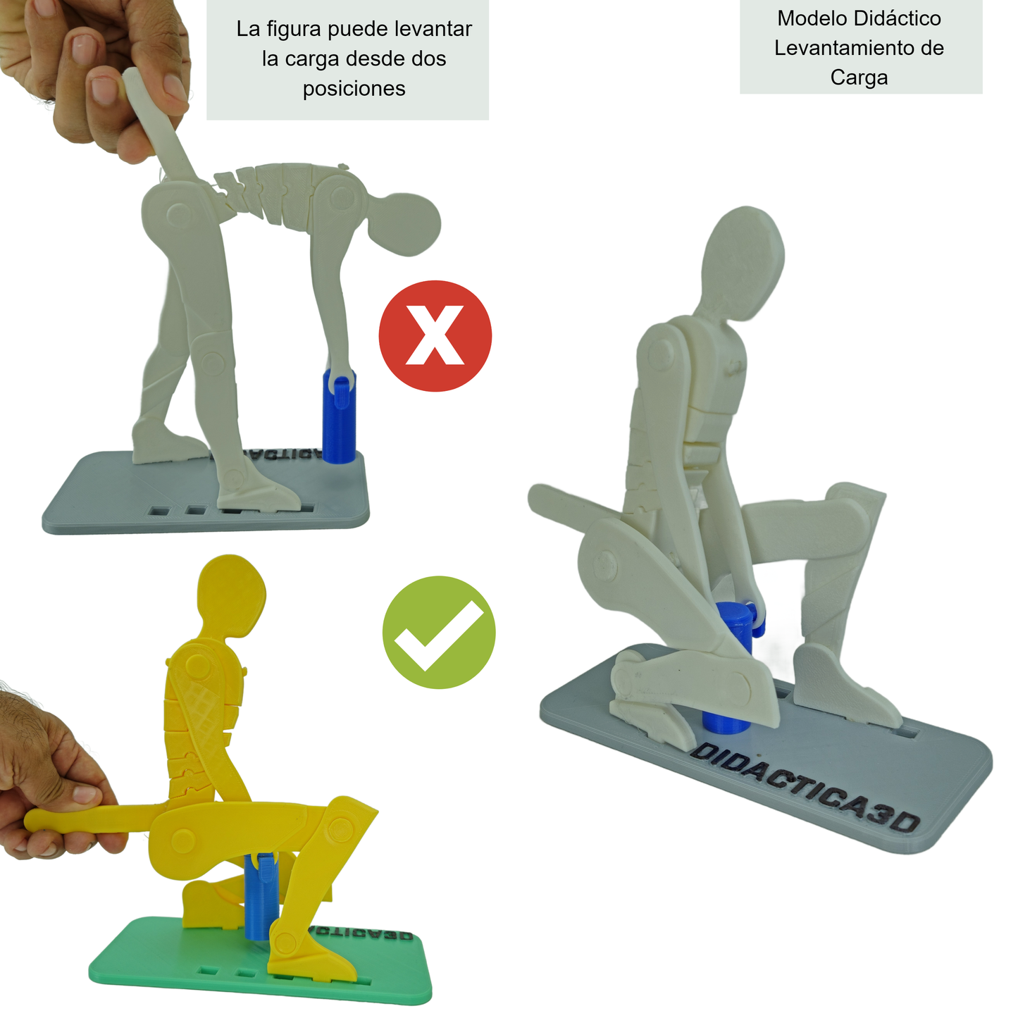 Kit Didáctico de Ergonomía