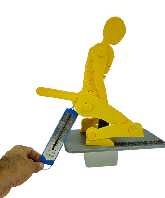 Kit Dinamómetro + Modelo de Levantamiento Manual de Carga 50 cm