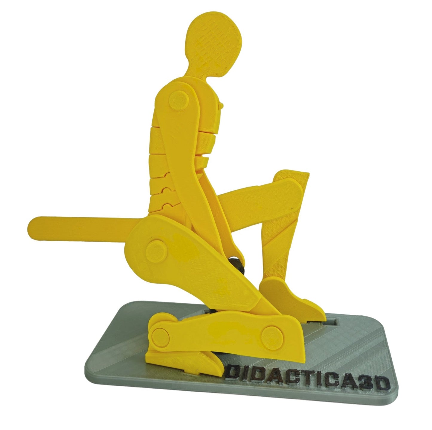 Levantamiento de Carga 50 cm