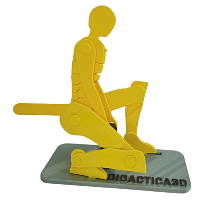 Levantamiento de Carga 50 cm