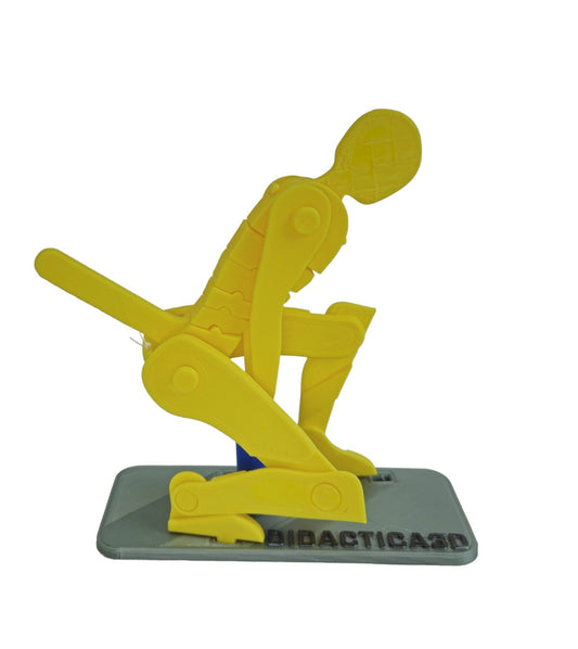 Levantamiento de Carga 20 cm