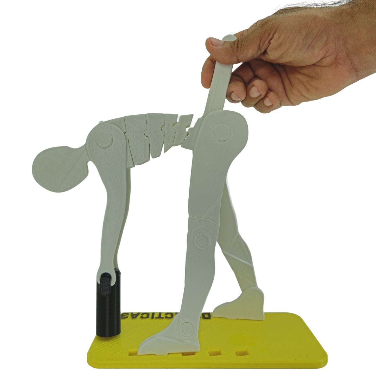 Kit Didáctico de Ergonomía