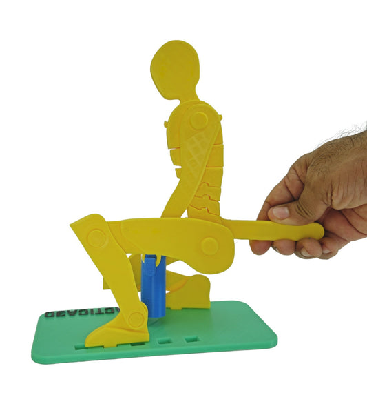 Levantamiento de Carga 35 cm