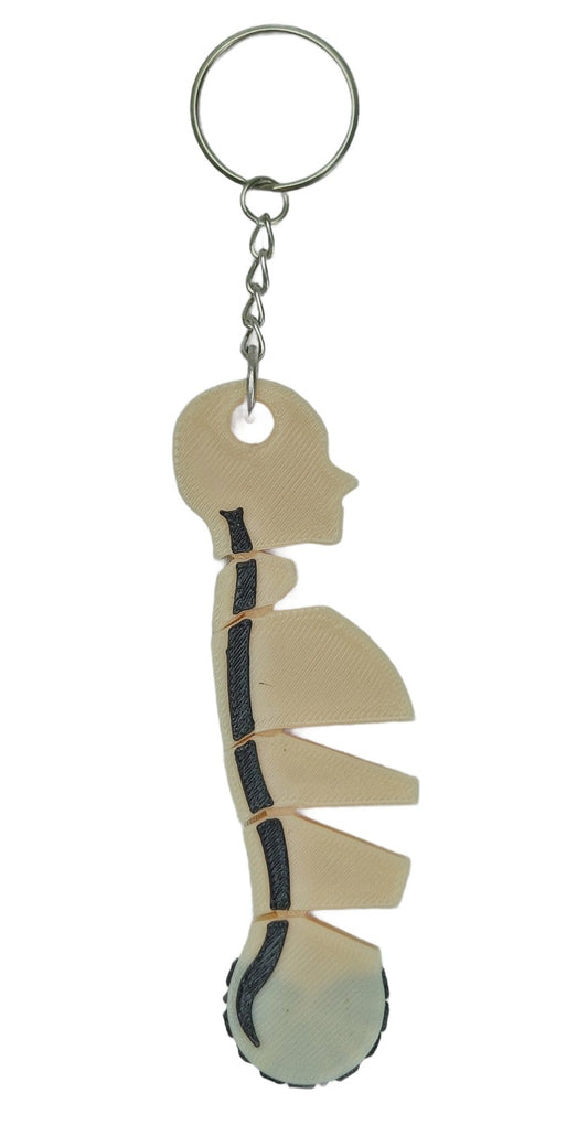 Llavero Espalda Columna