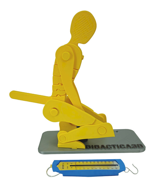 Kit Dinamómetro + Modelo de Levantamiento Manual de Carga 50 cm