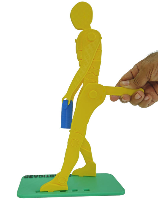 Levantamiento de Carga 35 cm