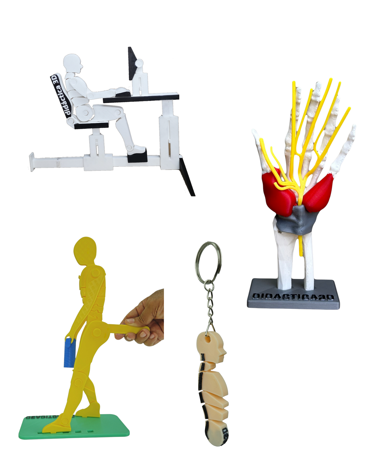 Kit Didáctico de Ergonomía