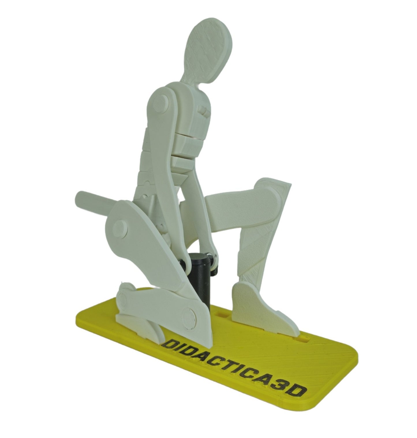 Levantamiento de Carga 35 cm